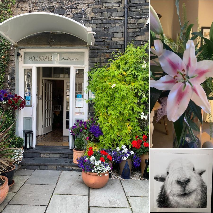 Hillsdale B&B In آمبيلسايد المظهر الخارجي الصورة